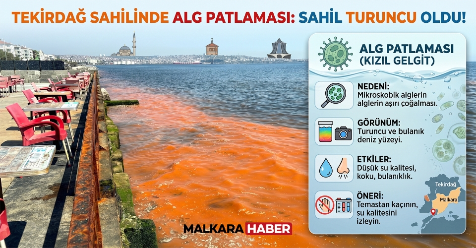 Tekirdağ sahilinde alg patlaması nedeniyle deniz turuncu renge büründü