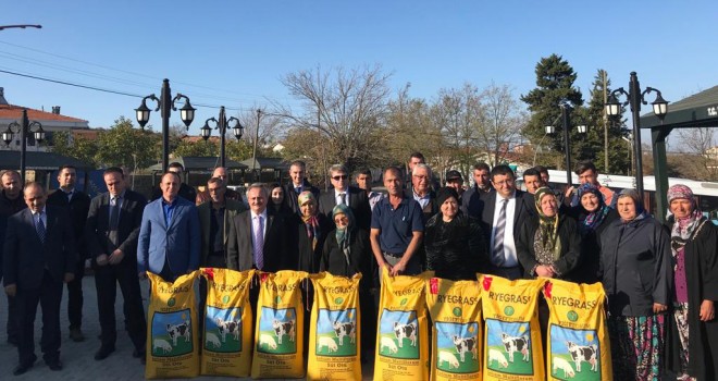 Vatandaşlara İtalyan Çimi Tohumu Dağıtıldı