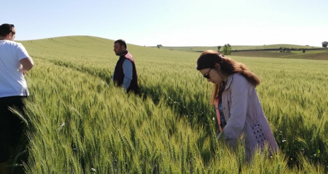 Tarım Danışmanları Sahada