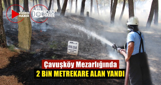 Elektrik Tellerine Çarpan Kuş Mezarlıkta Yangın Çıkardı