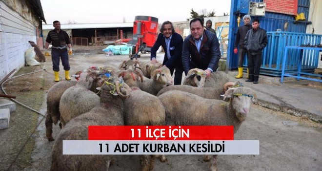 AK Parti Tekirdağ Yönetimi 11 İlçe için 11 Adet Kurban Kesti
