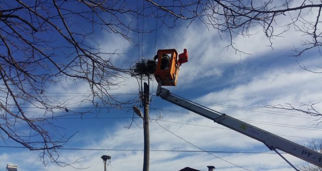 Malkara’da Leylek Yuvaları Yenilendi