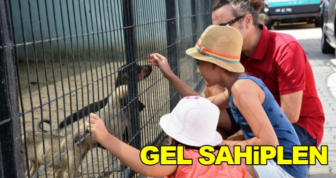 GÖNÜLLERİ FETHEDEN ÇAĞRI 'GEL SAHİPLEN'