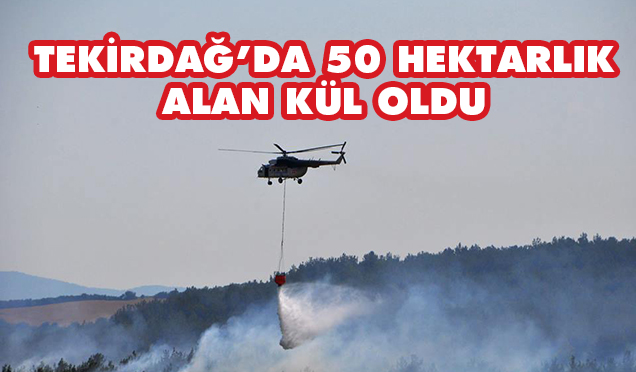 HAVADAN VE KARADAN MÜDAHALE EDİLDİ