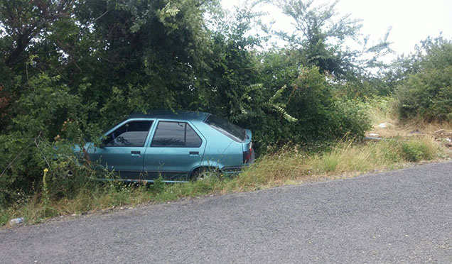 Ağaca Çarpan Otomobil Sürücüsü Hafif Yaralandı
