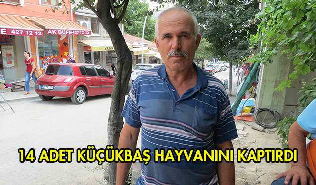 HER KURBAN BAYRAMI ÖNCESİ AYNI SENARYO..!