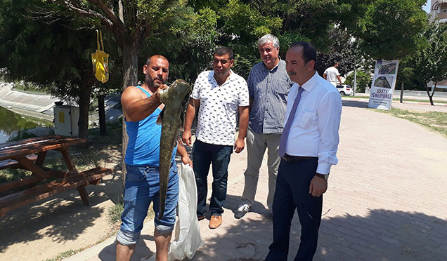 Yenilenme çalışmaları başlatılan parkta dev balık çıktı