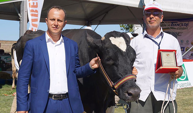 EN İYİ DAMIZLIK İNEK YARIŞMASI YAPILDI