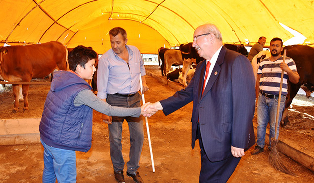 Başkan Albayrak Kurban Pazarlarını Gezdi, Üreticilerle Bayramlaştı