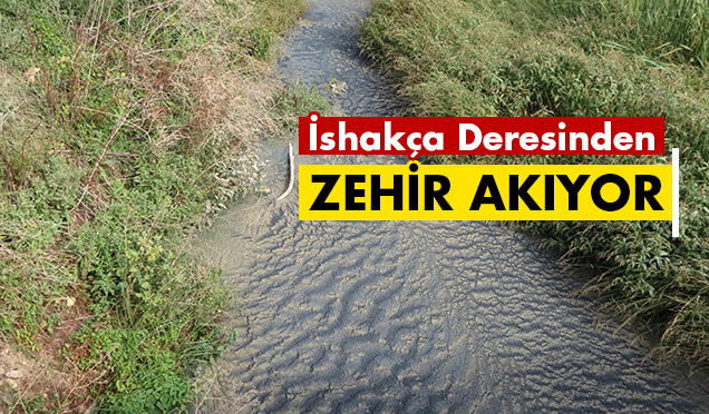 İshakça Deresinden Zehir Akıyor