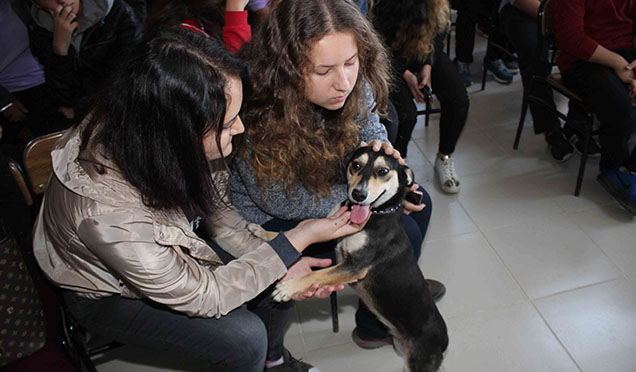 Öğrencilere “Hayvan Sevgisi” Anlatıldı