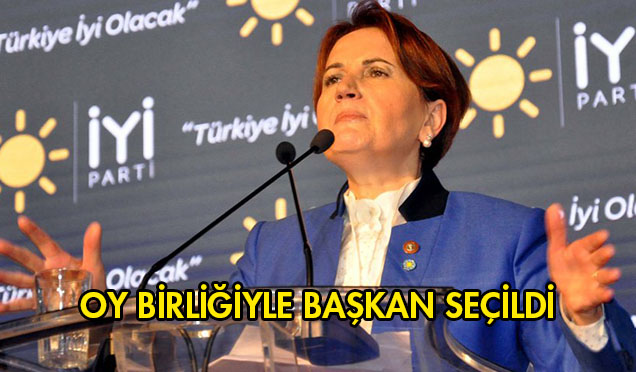 Meral Akşener’in partisinde son dakika: Oy birliğiyle Genel Başkan seçildi