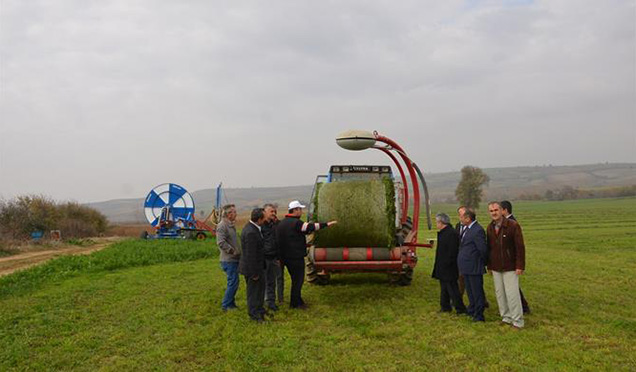 Yonca Silajı Paketleme Çalışmaları Başladı