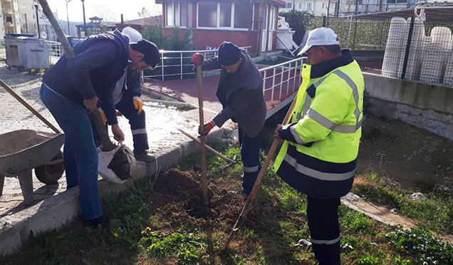 Malkara’da Ağaçlandırma Çalışmaları Devam Ediyor