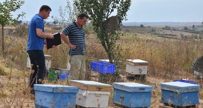 Büyükşehir, Arıcılığı Desteklemesi Devam Ediyor