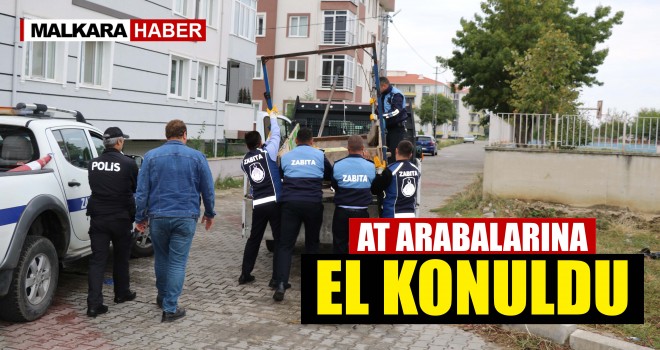Zabıta’dan At Arabası Denetimi!