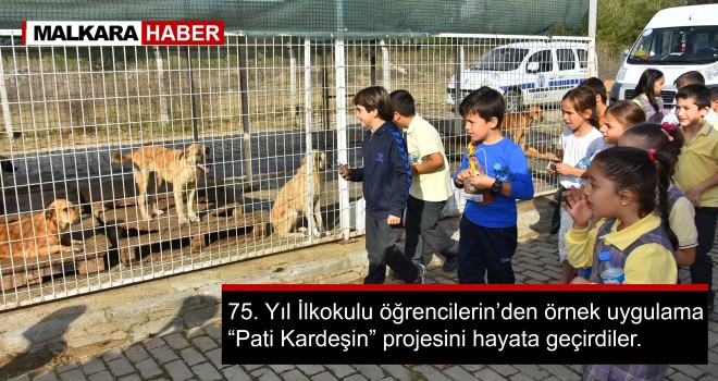 Çocuklar'dan Hayvan Sevgisi