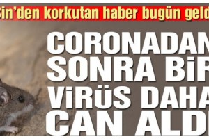 Çin’den korkutan haber! Şimdi de başka bir virüs can almaya başladı