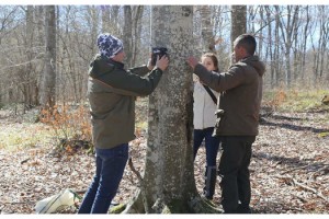 Yaban hayatı izlemek için fotokapan kuruluyor