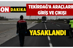 30 Büyükşehir hangileri? 30 Büyükşehire giriş çıkışlar yasaklandı!