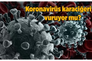 Koronavirüs karaciğeri de vuruyor mu?