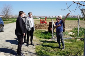 Lüleburgaz'da sinek üreten çeltik tarlasına tepki