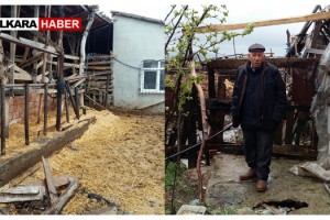 Malkara’da 3 Büyükbaş Hayvan Çalındı