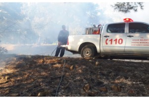 Ormanlık alanda çıkan yangın söndürüldü