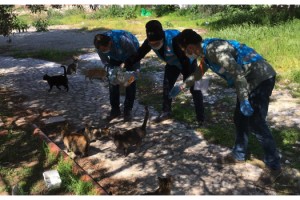 Şarköy Din Görevlileri Sokak Hayvanlarına Sahip Çıktı