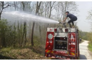 Tekirdağ'da orman yangını