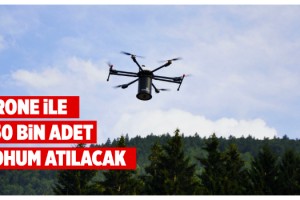 Türkiye'nin 'insansız' oluşturulacak ilk 'EvdeKalOrmanı'