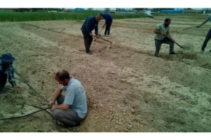 900 fidan toprakla buluştu