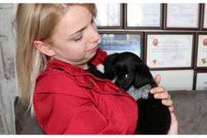 Bacağı kesilen yavru köpeği tedavi masraflarını karşılayıp, sahiplendi