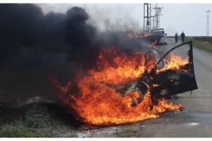 Hayvanseverin otomobili alev alev yandı