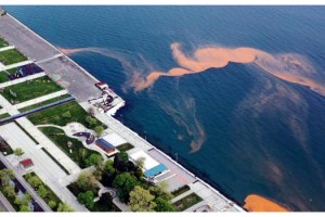 Tekirdağ sahilleri yeniden turuncu renge büründü