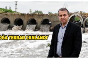 Trakya'nın hava kirliliğinde yüzde 70 azalma oldu