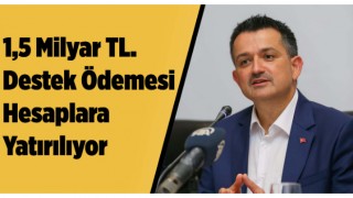1,5 Milyar TL. Destek Ödemesi Hesaplara Yatırılıyor