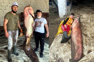 Edirne'de gölette 109 kilo yayın balığı yakalandı