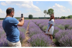 Edirne'de lavanta tarlaları, kontrollü olarak ziyarete açıldı