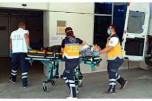 Erik topladığı ağaçtan düşerek öldü