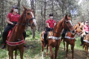 İstanbul'un ormanları için "Doğa devriyesi" iş başı yaptı