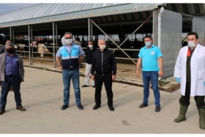 Keşan'da canlı hayvan pazarı tedbirlerle açıldı