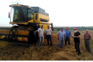 Kırklareli'nde arpa hasadı kontrolleri başladı