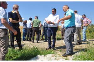 Malkara'da dolu yağışı ekili alanlara zarar verdi