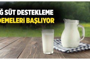 Bakan Pakdemirli; 329 Milyon Lira Çiğ Süt Destek Ödemesi Cuma Günü Hesaplara Yatıyor