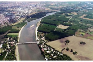 Bulgaristan'da Meriç'ten su içen hayvanlar öldü, Türkiye de önlem aldı