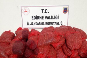 Edirne'de 1 ton kaçak midye ele geçirildi
