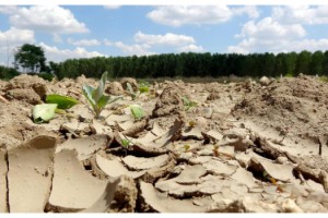 Edirne'de nehirlerin debisi düştü, su kuyuları kurudu
