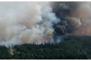 Edirne'de orman yangını