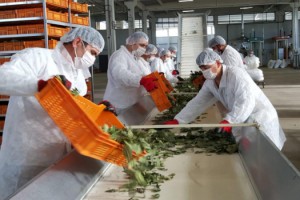 Kırsal Kalkınmaya Son 2 Yılda 855 Milyon Lira Hibe Verildi